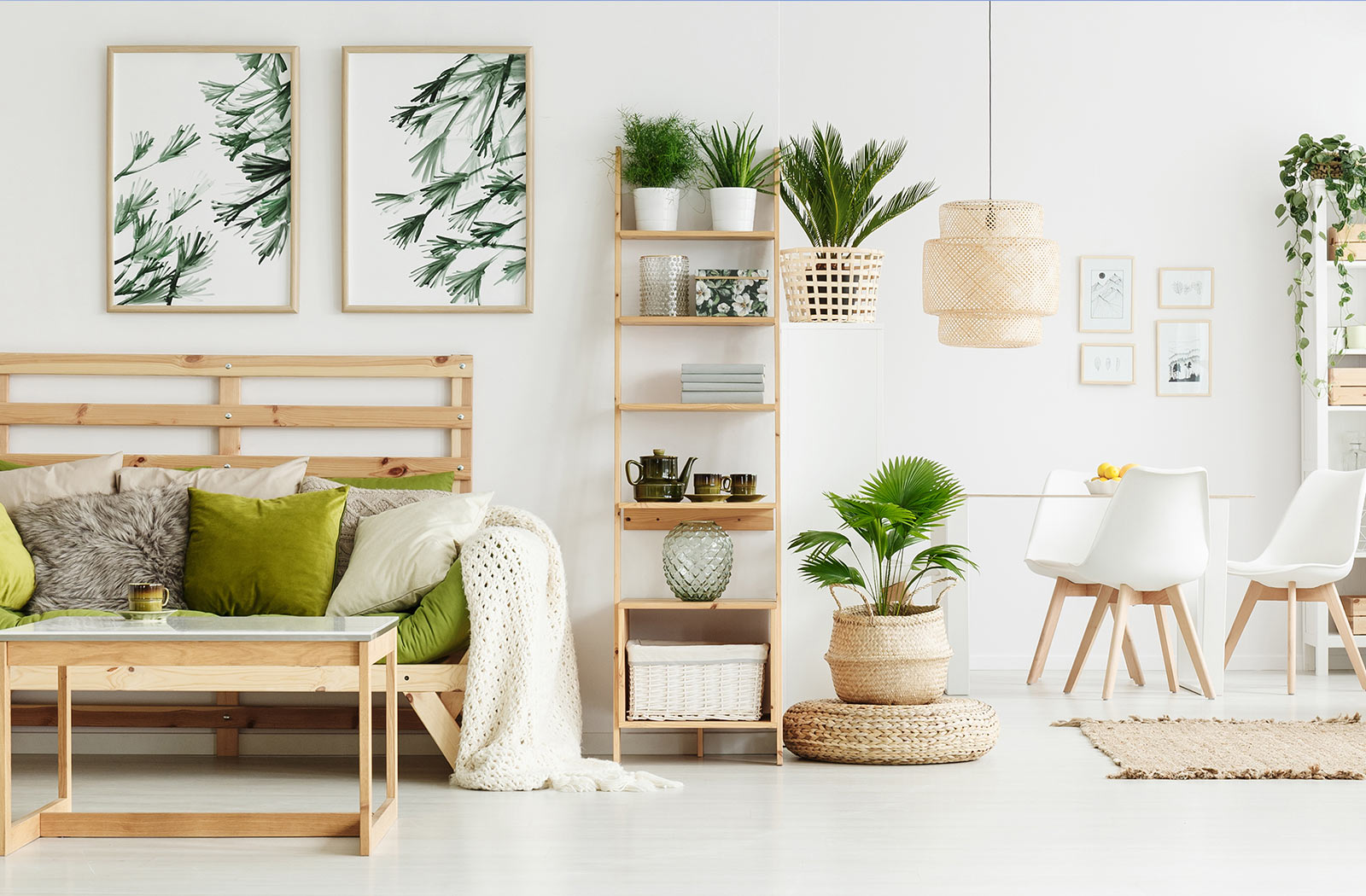 Your Pigeon Lake Realtor of Choice